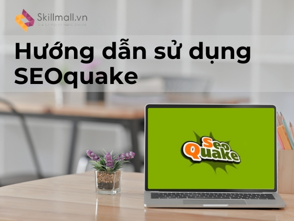 Hướng dẫn sử dụng SEOQuake