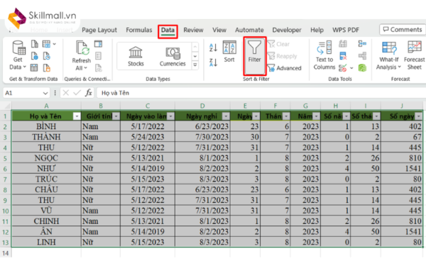 Cách Dùng AutoFilter trong Excel Chi Tiết Cho Người Mới 2024